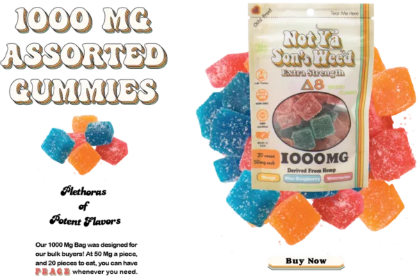 Asset-24-1.webp Not Ya Son's Weed Delta-8 Gummies – 50 mg Extra Strength, 20 Stück, 1000 mg