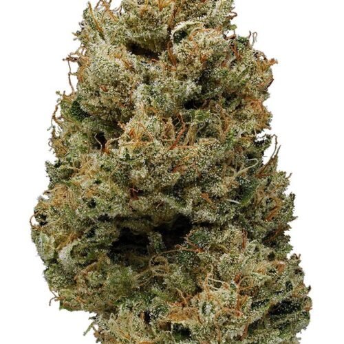Banana-Kush.jpg Banana Kush (BK)