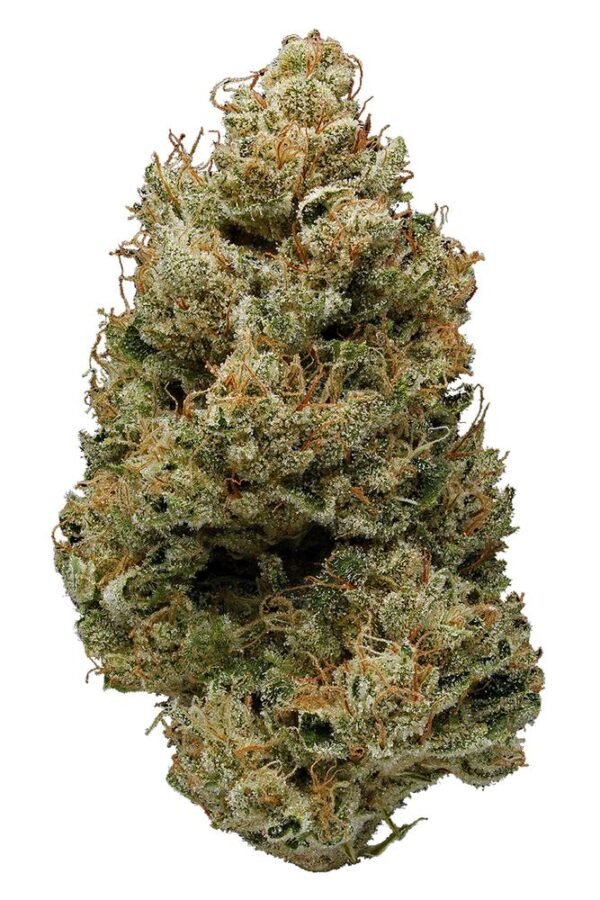Banana Kush (BK)