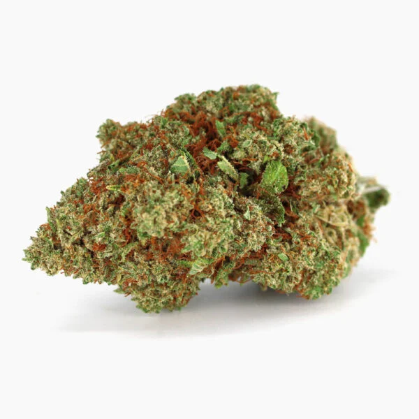 Critical-600x600-1.webp Critical