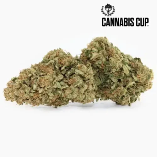 Dark-Saphir-CBD-Spliff-600x600-1.webp Dark Saphir