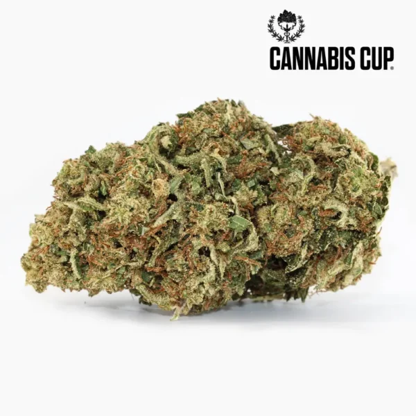 Dream-Diesel-CBD-Spliff.webp Dream Diesel