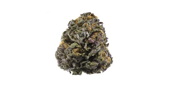 GDP-Grand-Daddy-Purple.jpeg GDP (GP)