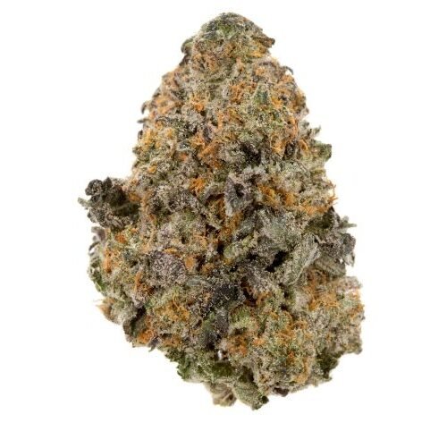 Gelato-33.jpeg Gelato 33 (33)