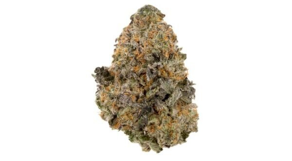 Gelato 33 (33)
