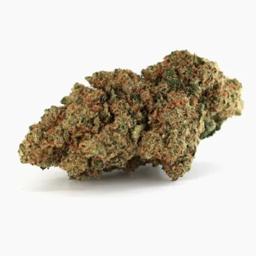 Girl Scout Cookies