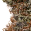 HempHop-WeddingCake_macroflowershot_540x.webp Wedding Cake