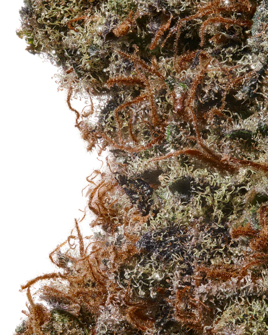 HempHop-WeddingCake_macroflowershot_540x.webp Wedding Cake
