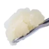 IMG-6743_540x.webp Apples & Bananas High THCa Live Sugar