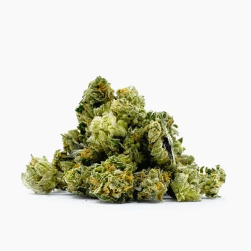 Sanstitre-12_cb5a6e1d-5123-4469-bc77-b42e3ddfd99c-600x600-1.webp Minibud Premium Superskunk