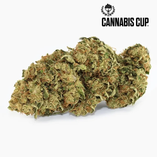 Tangie-Kush-CBD-Spliff-600x600-1.webp Tangie Kush