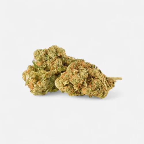 amnesia-superior-bluete-40-blueten-6327407.webp Amnesia - Superior Blüte 40%