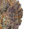 Black Cherry Gelato THCa Flower