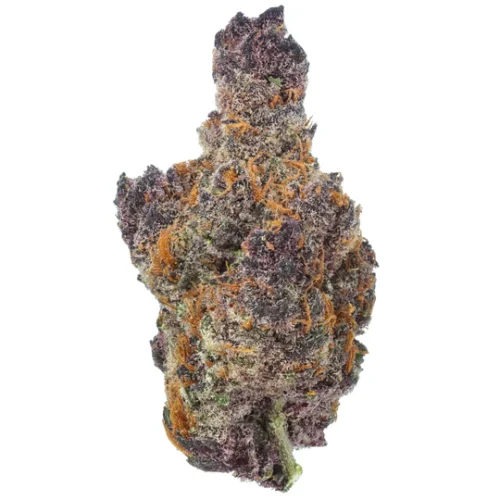 black-cherry-gelato-flower_540x.webp Black Cherry Gelato THCa Flower