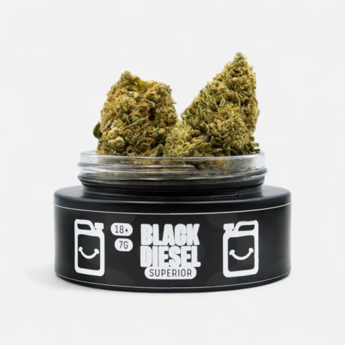 black-diesel-superior-blueten-9294945.webp Black Diesel Superior ⛽️