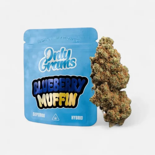 blueberry-muffin-superior-bluete-40-blueten-3730123.webp Blueberry Muffin - Superior Blüte 40%