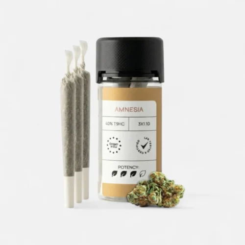 classic-joints-amnesia-joints-7506227.webp CLASSIC JOINTS AMNESIA