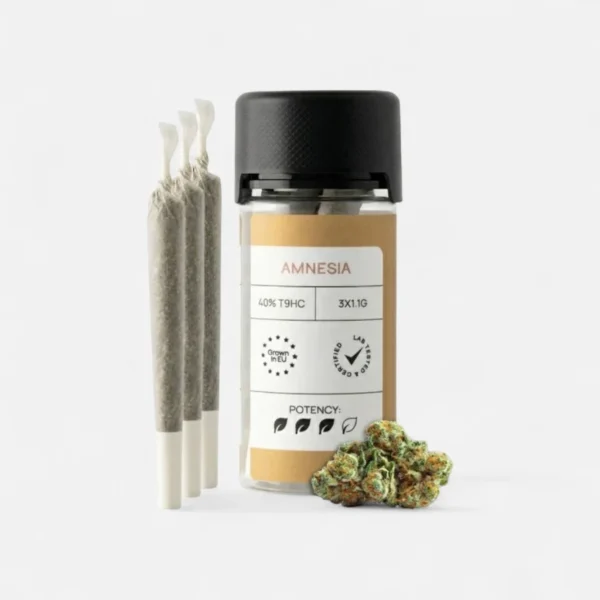 classic-joints-amnesia-joints-7506227.webp CLASSIC JOINTS AMNESIA