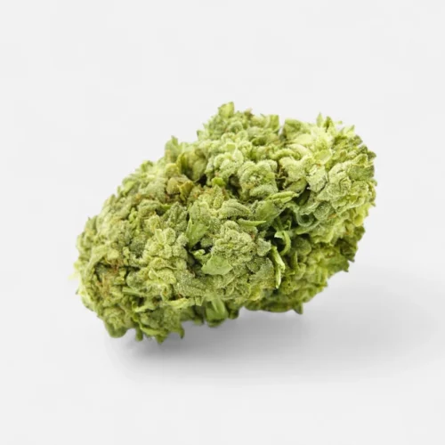 frosted-cookies-55-superior-blueten-5141087.webp 🧊🍪 Frosted Cookies 55% Superior