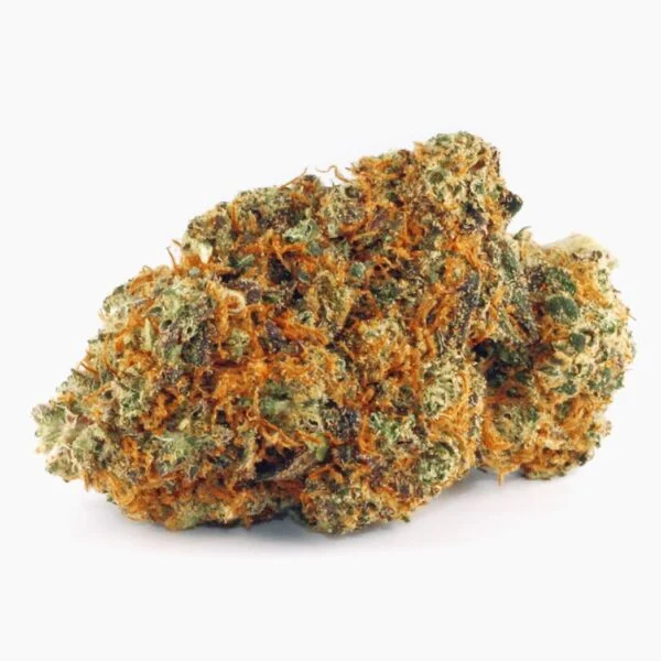 gorilla-zkittlez-spliff-r-cbd-393914-600x600-1.webp Gorilla Zkittlez