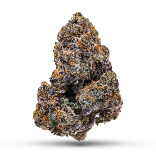 Lemon Cherry Gelato (LCG)
