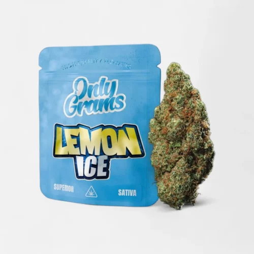 lemon-ice-superior-bluete-40-blueten-8029422.webp Lemon Ice - Superior Blüte 40%