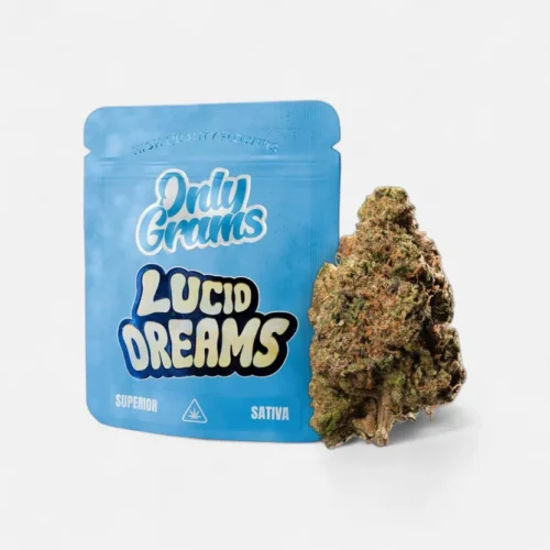 lucid-dreams-superior-bluete-40-blueten-4807824.webp Lucid Dreams - Superior Blüte 40%
