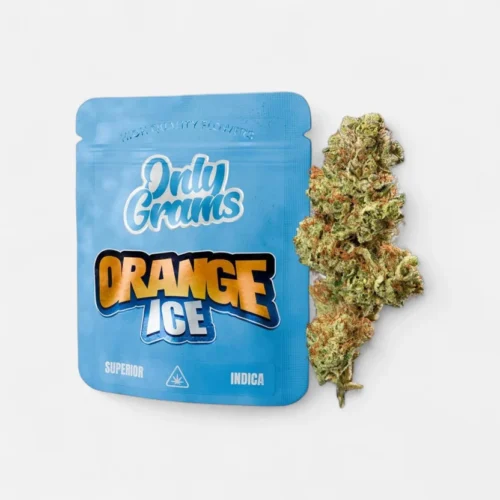 orange-ice-superior-bluete-40-blueten-5835115.webp Orange Ice - Superior Blüte 40%