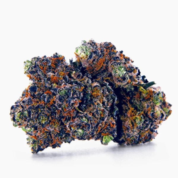 purple-haze-spliff-cbd-514975-600x600-1.webp Purple Haze